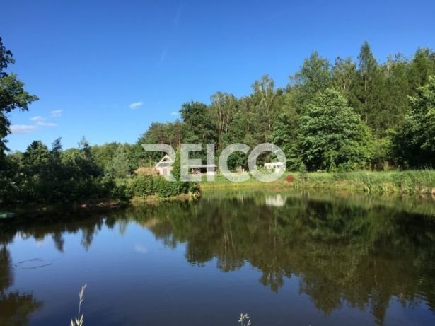 Działka budowlana na sprzedaż Nowe Załubice 4 998m2 Foto 1 Działka budowlana na sprzedaż Nowe Załubice 4 998m2 Foto 1