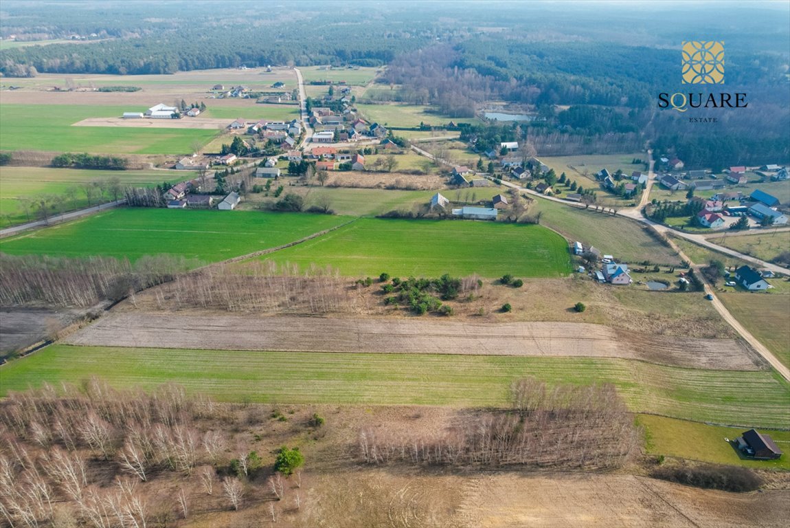 Działka budowlana na sprzedaż Krajęczyn  1 200m2 Foto 4