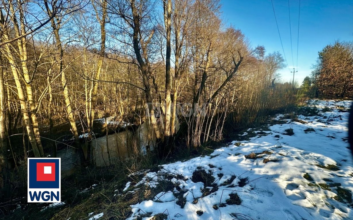 Działka rolna na sprzedaż Dębnica Kaszubska, Ks. Antoniego Kani  5 700m2 Foto 6