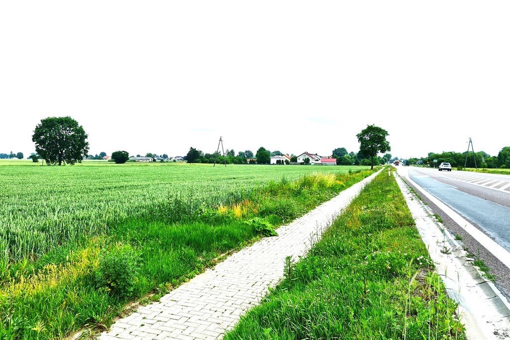 Działka budowlana na sprzedaż Żabce  1 900m2 Foto 1