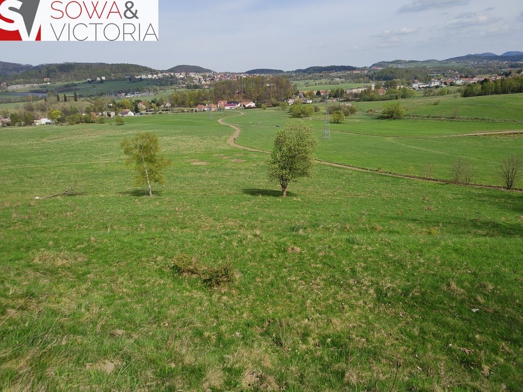 Działka rekreacyjna na sprzedaż Boguszów-Gorce, Stary Lesieniec  7 168m2 Foto 2