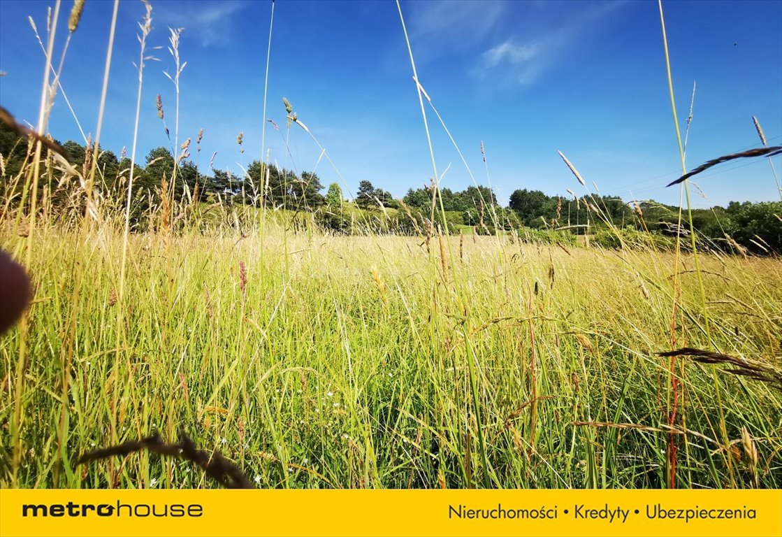 Działka inna na sprzedaż Przęsin  10 416m2 Foto 4