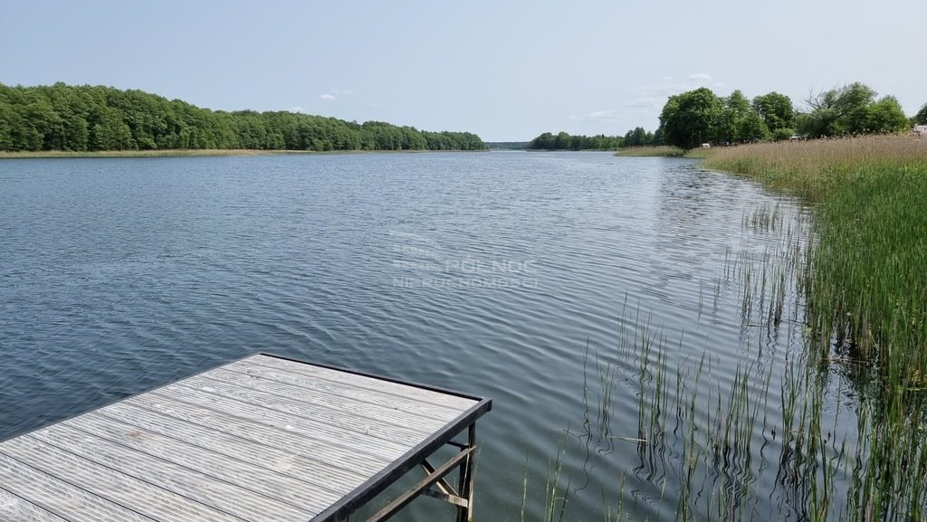 Działka rolna na sprzedaż Cisy  2 000m2 Foto 3