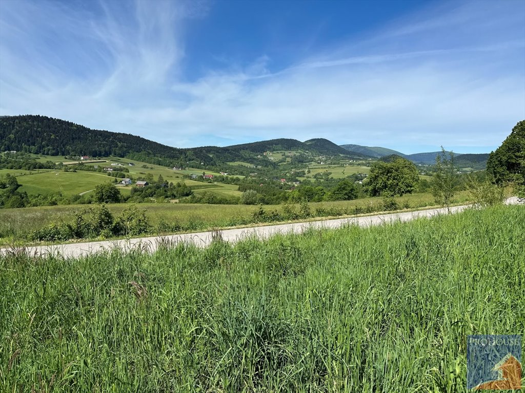 Działka budowlana na sprzedaż Skrzydlna  7 400m2 Foto 2