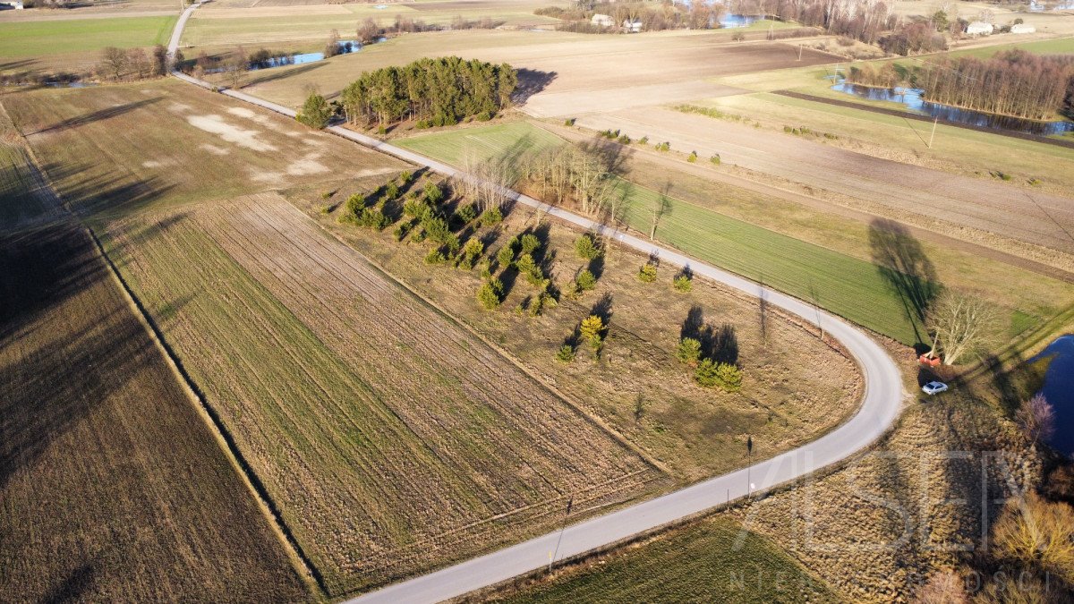 Działka budowlana na sprzedaż Grądy Szlacheckie  9 800m2 Foto 6