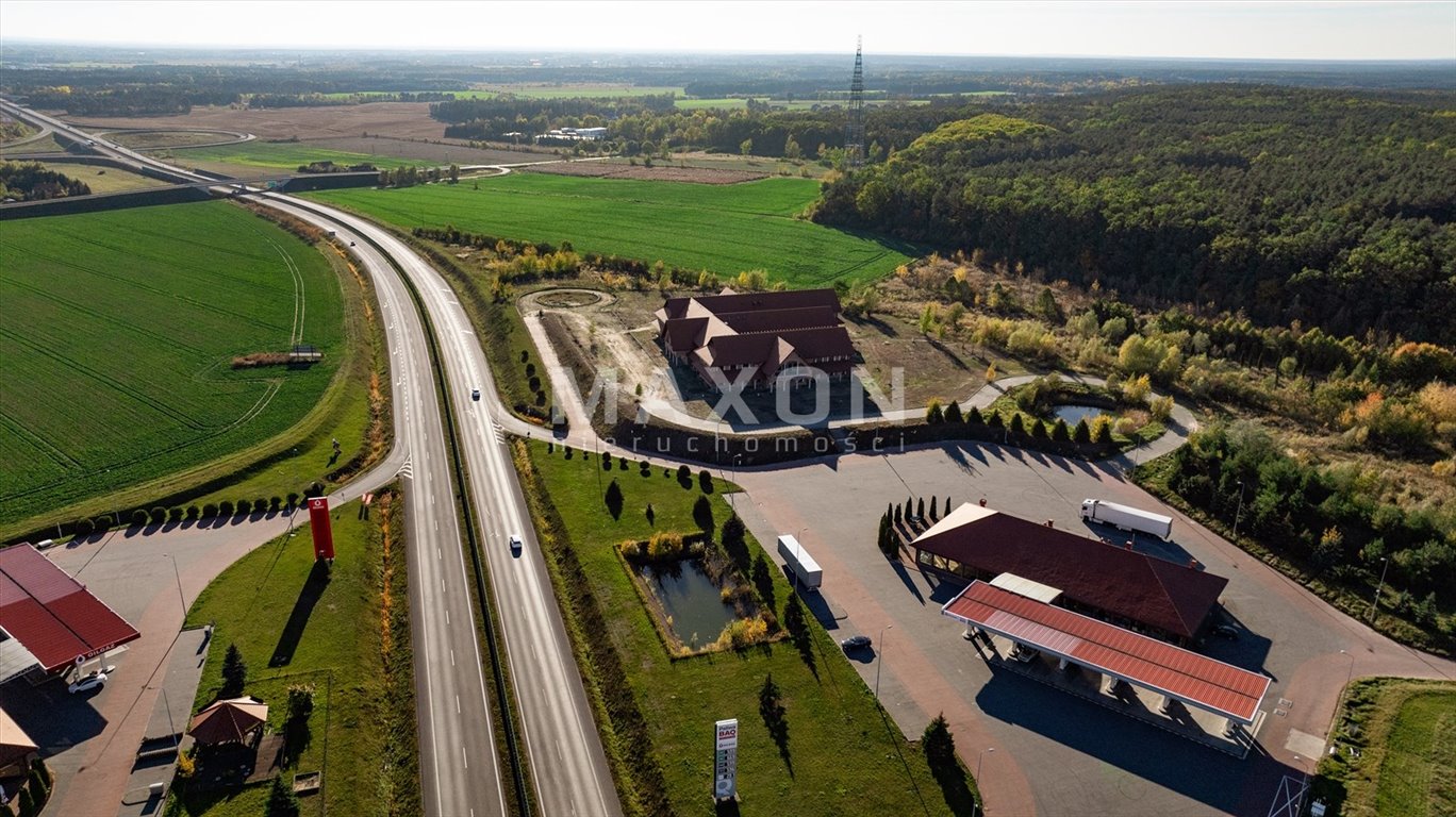 Działka budowlana na sprzedaż Wierzbica  17 887m2 Foto 17