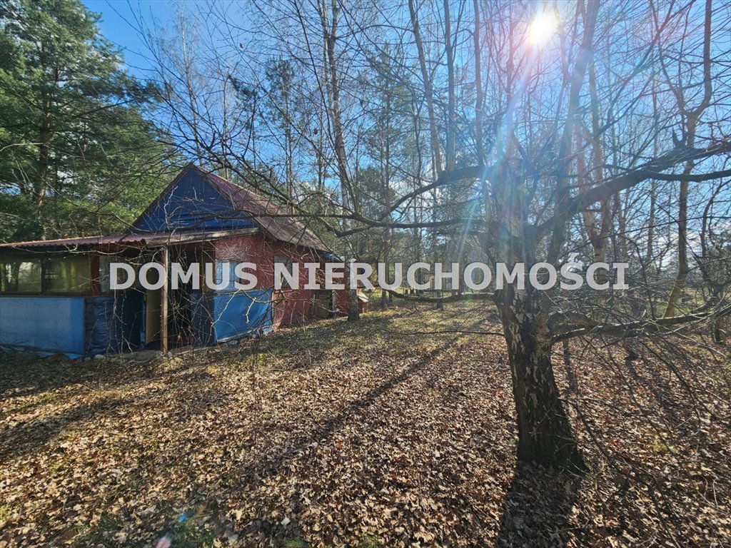 Działka 953 m² z domem letniskowym, las i Zalew Jeziorsko Kościanki  953m2 Foto 1