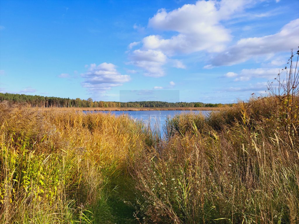 Dom na sprzedaż Mochała  250m2 Foto 5