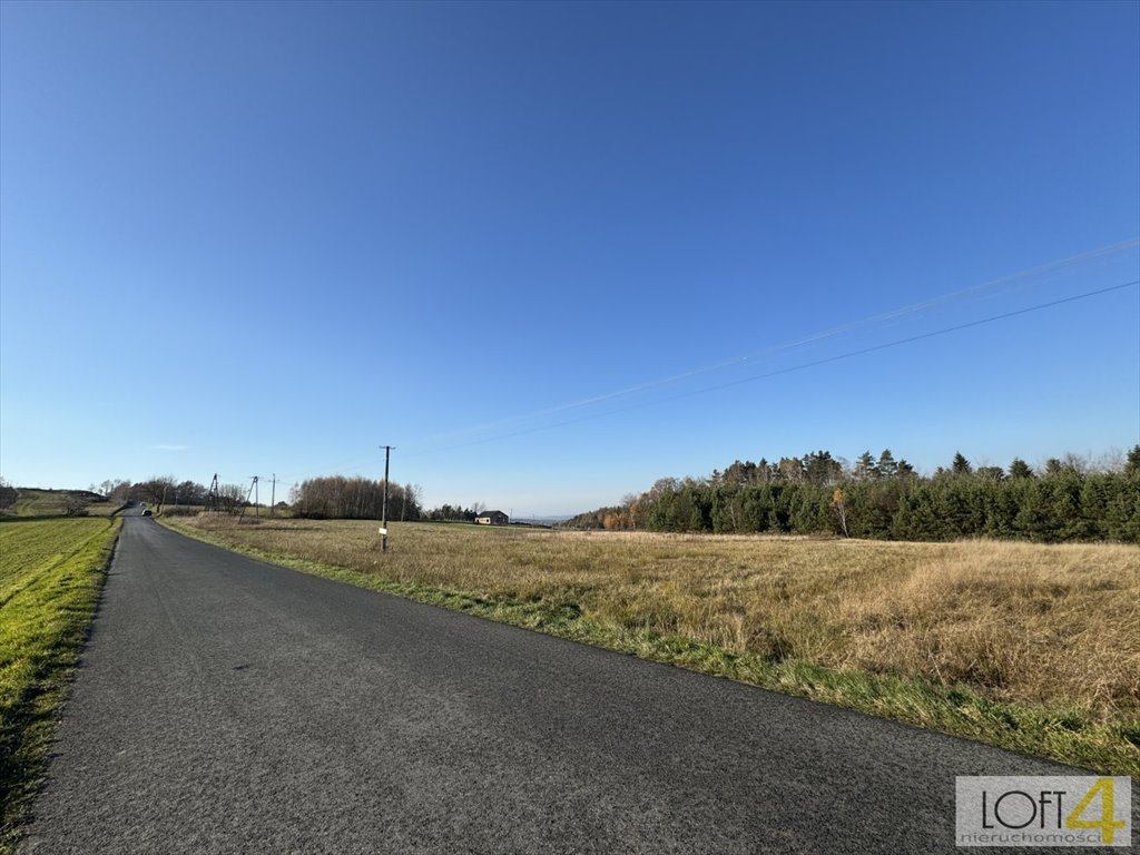 Działka budowlana na sprzedaż Polichty  3 000m2 Foto 10