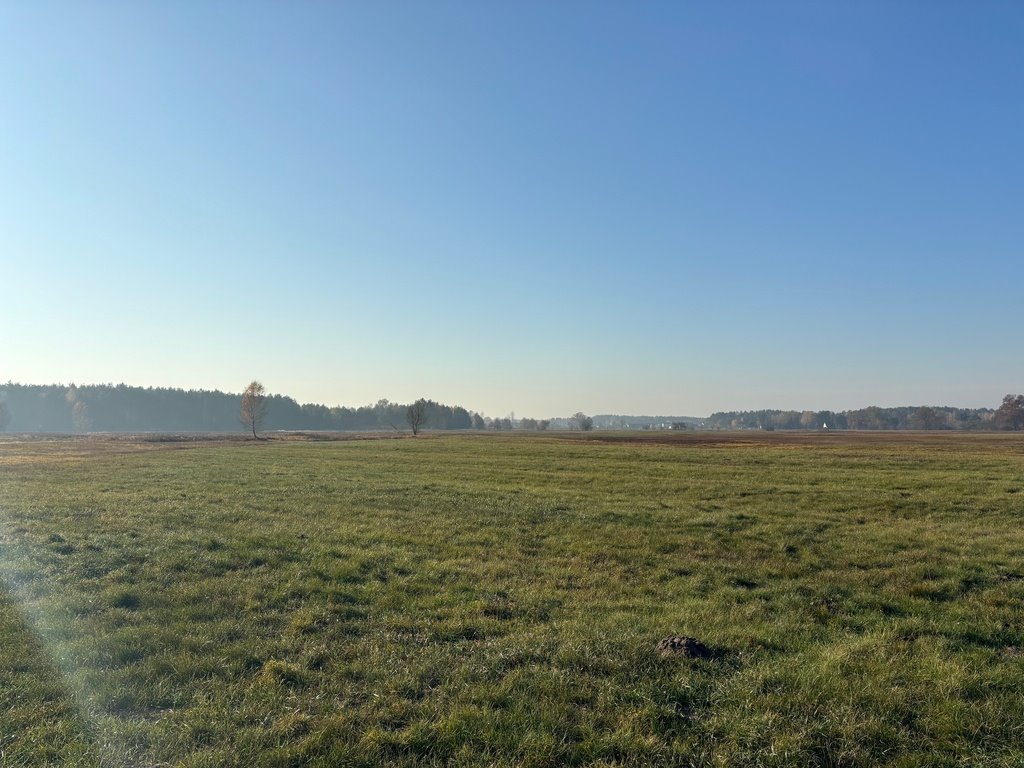 Działka rolna na sprzedaż Nowe Załubice  27 100m2 Foto 5