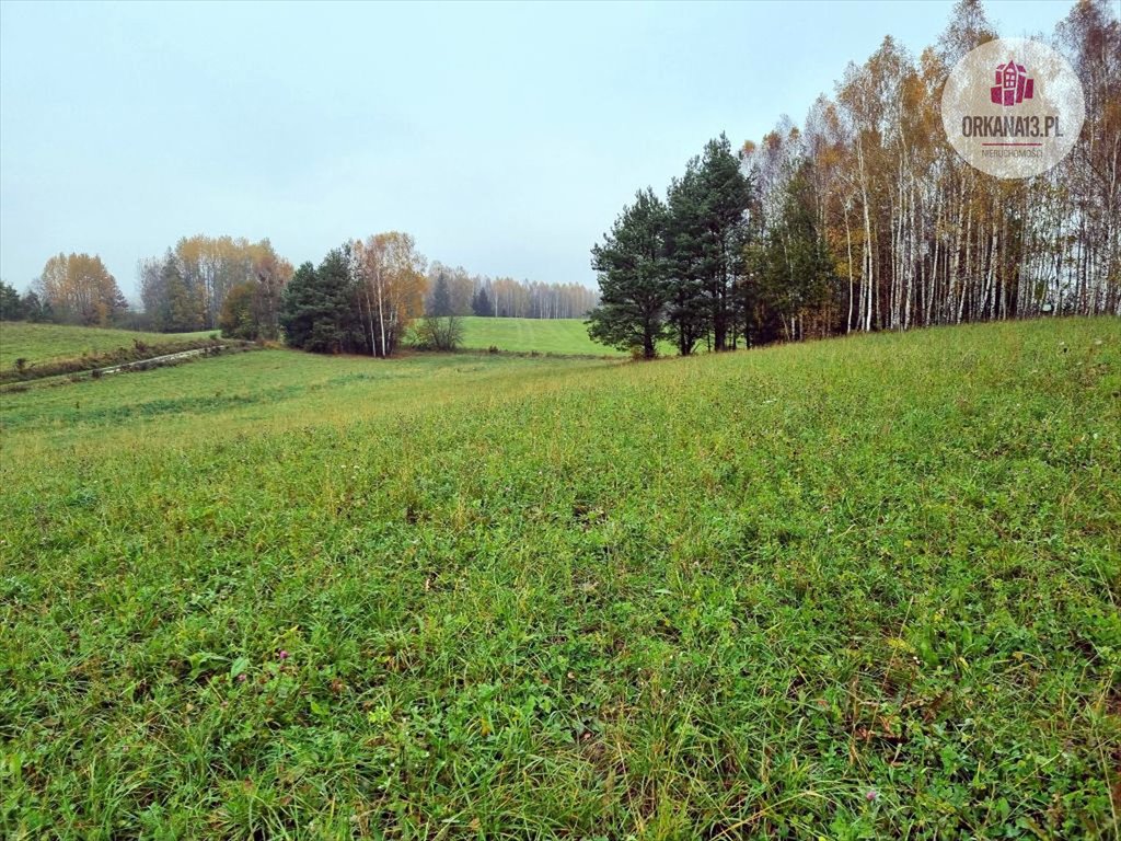 Działka rolna na sprzedaż Przykop, Przykop  27 623m2 Foto 4