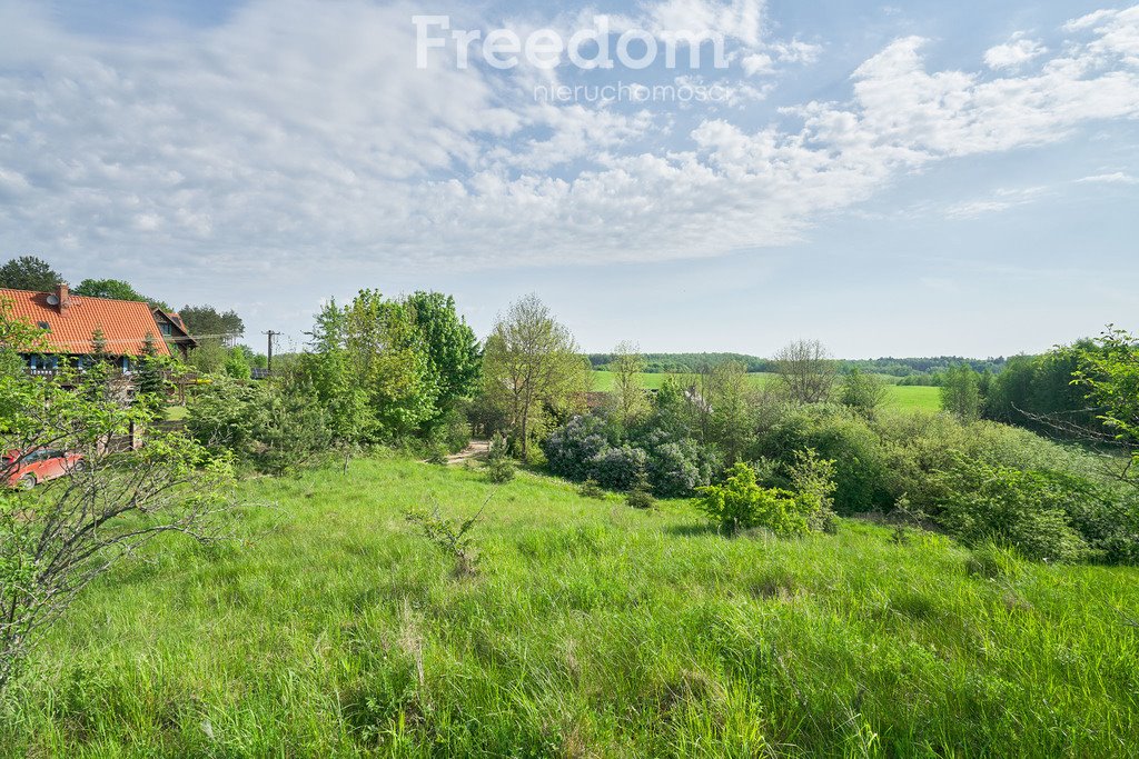 Działka budowlana na sprzedaż Kosewo  12 500m2 Foto 7