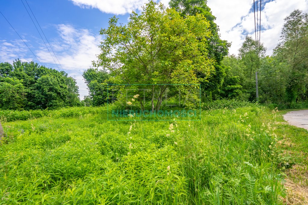 Działka budowlana na sprzedaż Grodzisk Mazowiecki  5 500m2 Foto 2