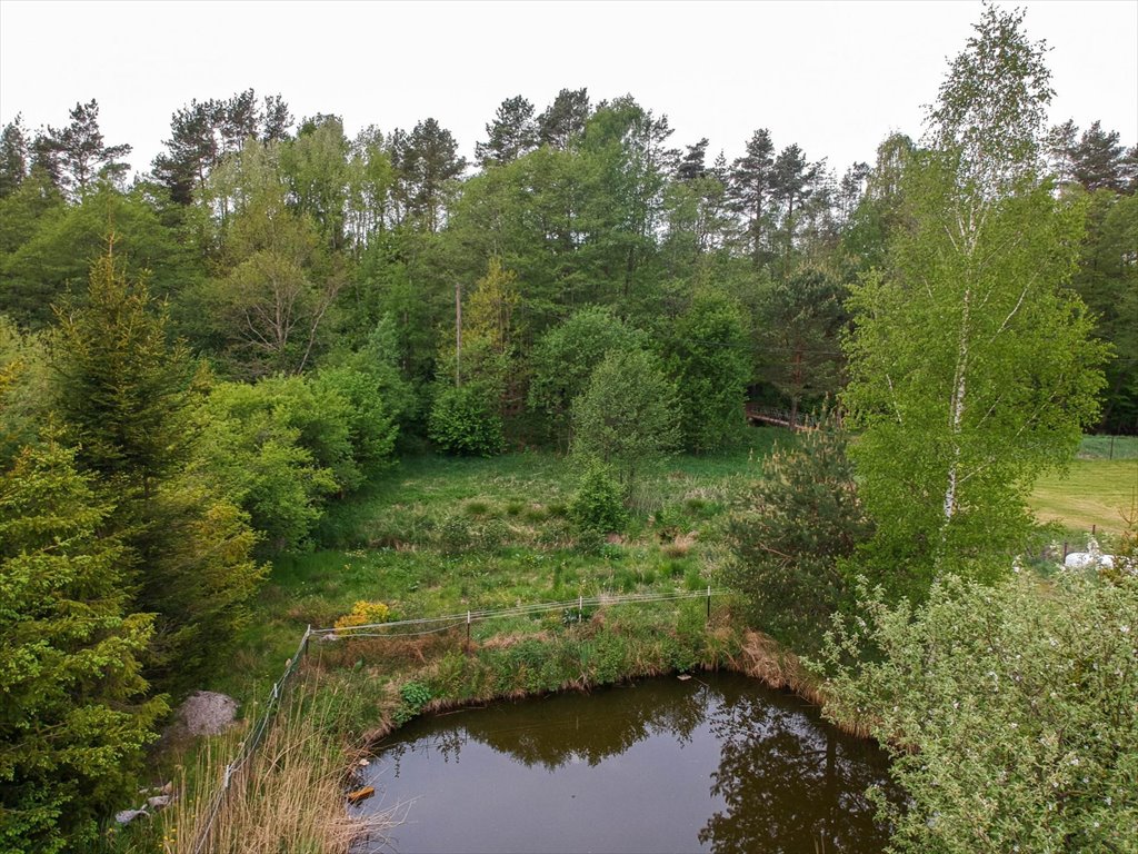 Działka budowlana na sprzedaż Orle  2 676m2 Foto 13