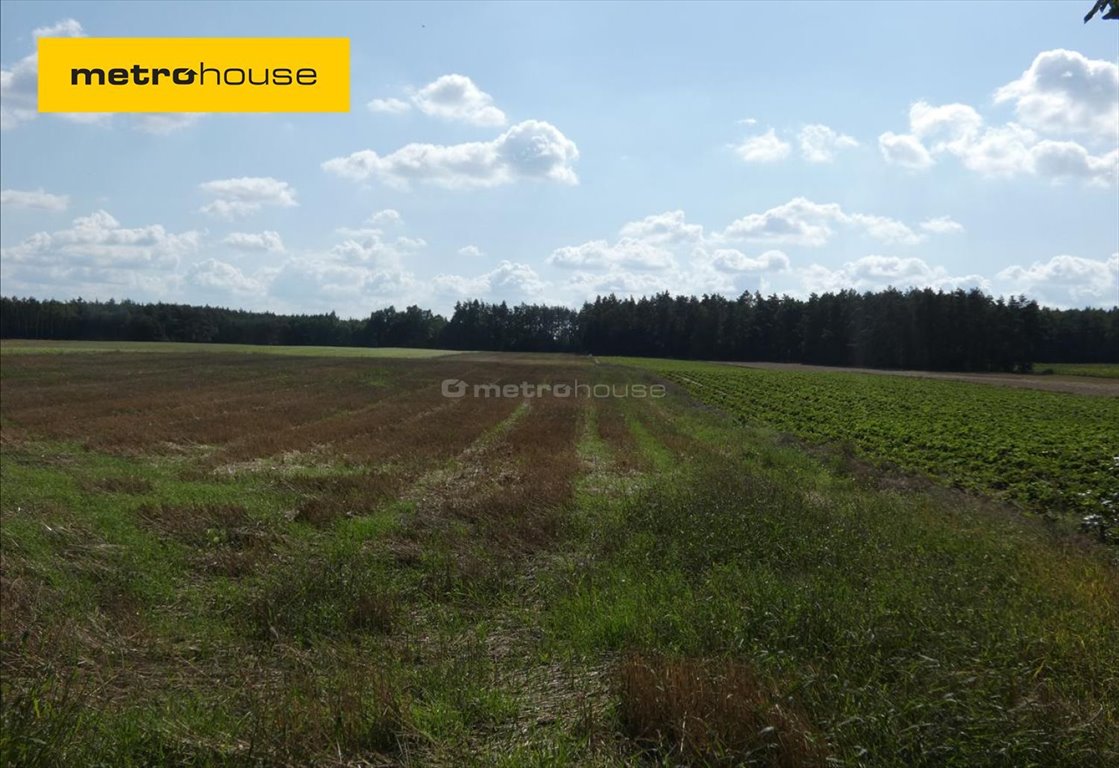 Działka inna na sprzedaż Drochowo  60 500m2 Foto 1