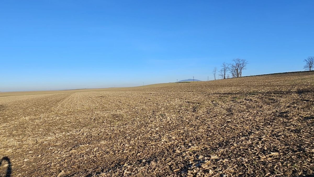 Działka siedliskowa na sprzedaż Krzczonów  8 400m2 Foto 13