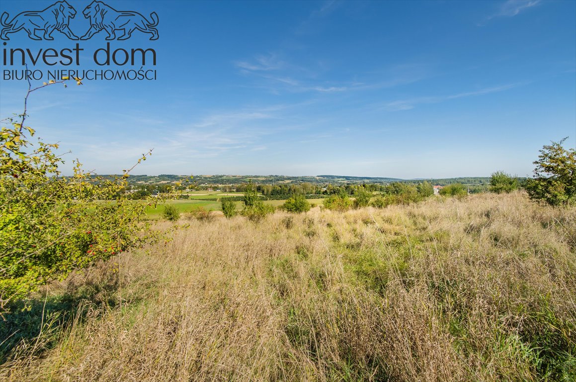 Działka rolna na sprzedaż Mszanka  9 500m2 Foto 8