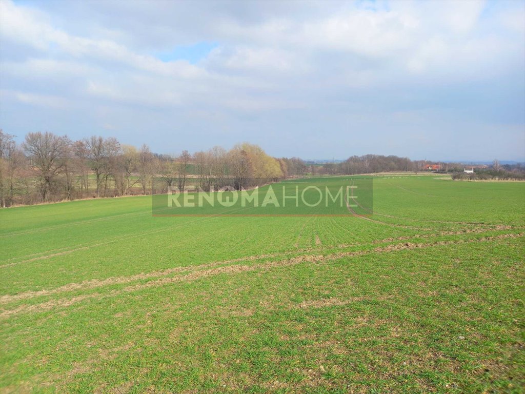 Działka budowlana na sprzedaż Witoszów Górny  1 518m2 Foto 12