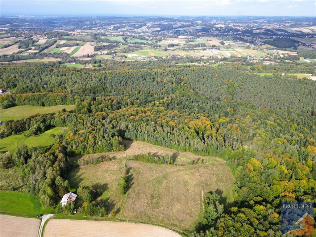 Działka budowlana na sprzedaż Stare Rybie  900m2 Foto 7