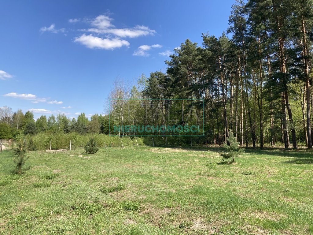 Działka leśna z prawem budowy na sprzedaż Strzeniówka  2 000m2 Foto 4