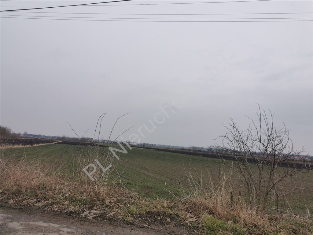 Działka rolna na sprzedaż Milęcin  15 762m2 Foto 5