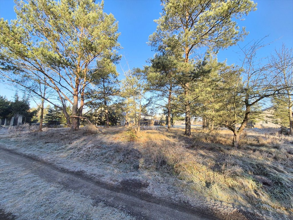 Działka budowlana na sprzedaż Trzebień  1 000m2 Foto 3