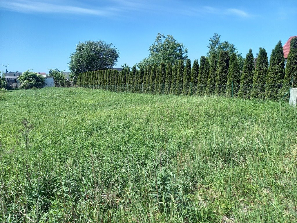 Działka budowlana na sprzedaż Byków  1 000m2 Foto 5