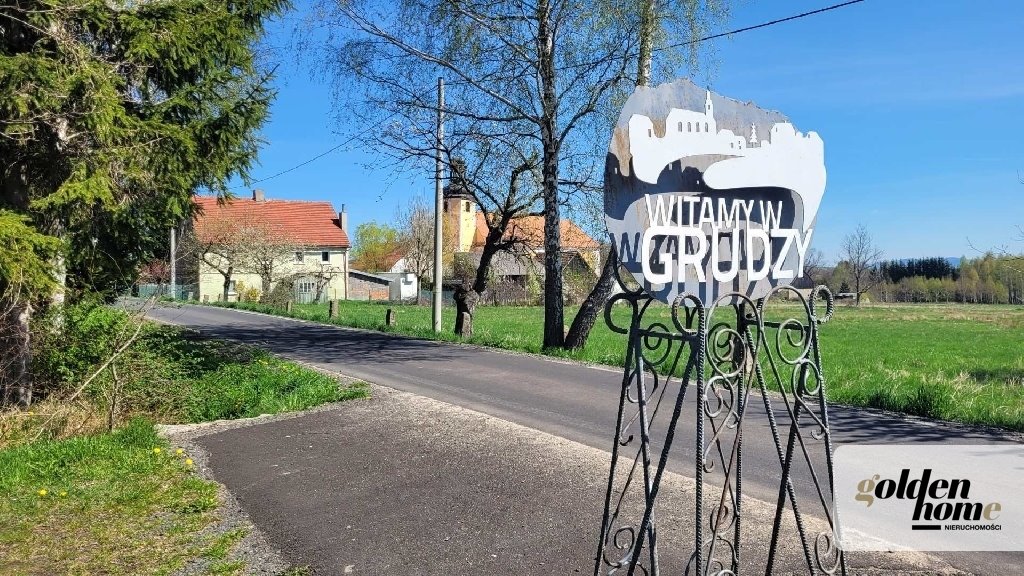 Działka budowlana na sprzedaż Grudza, Grudza  8 000m2 Foto 1