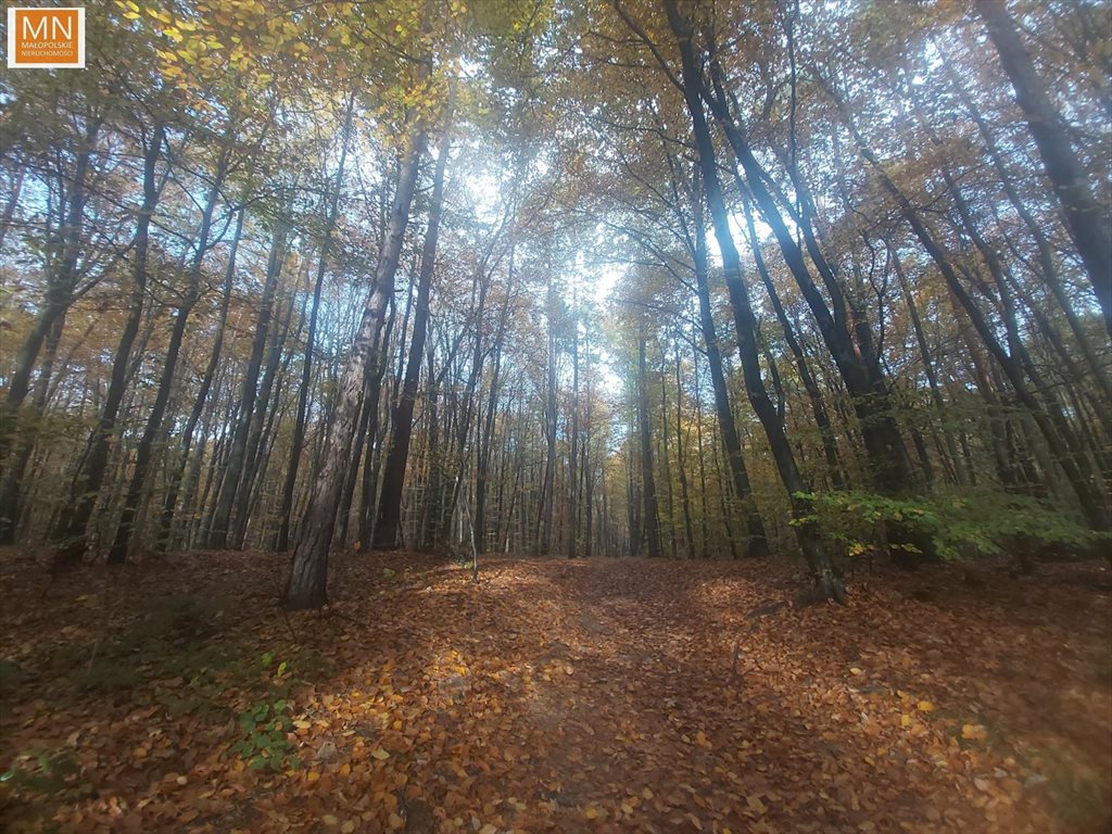 Dom na sprzedaż Brzegi  155m2 Foto 16