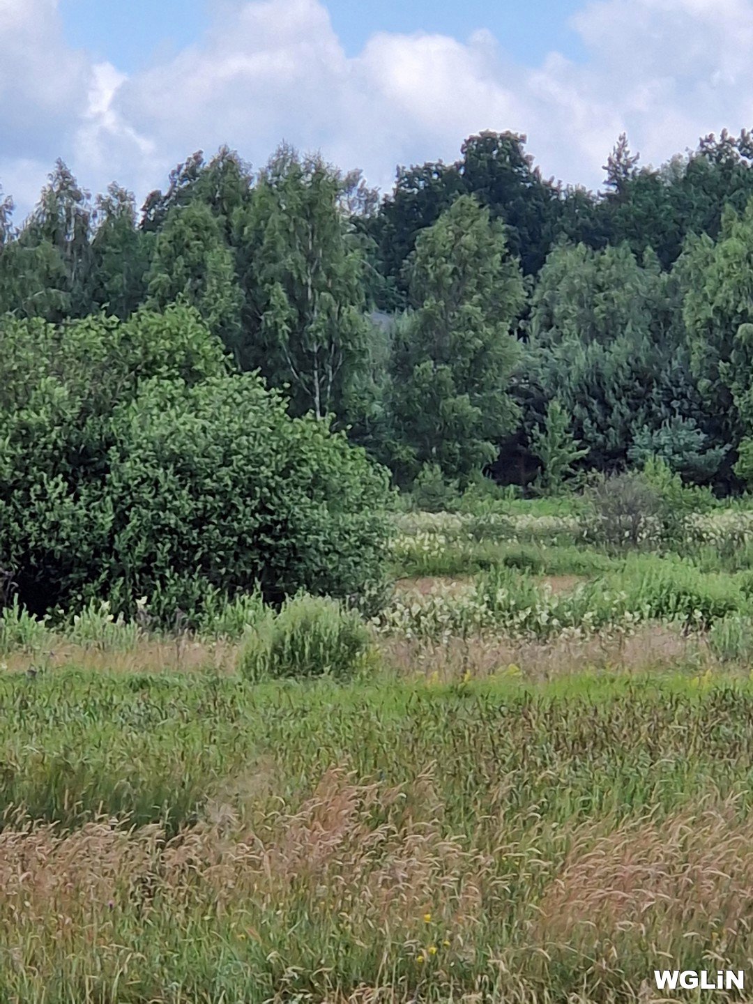 Działka budowlana na sprzedaż Jurki, Jurki  20 900m2 Foto 2