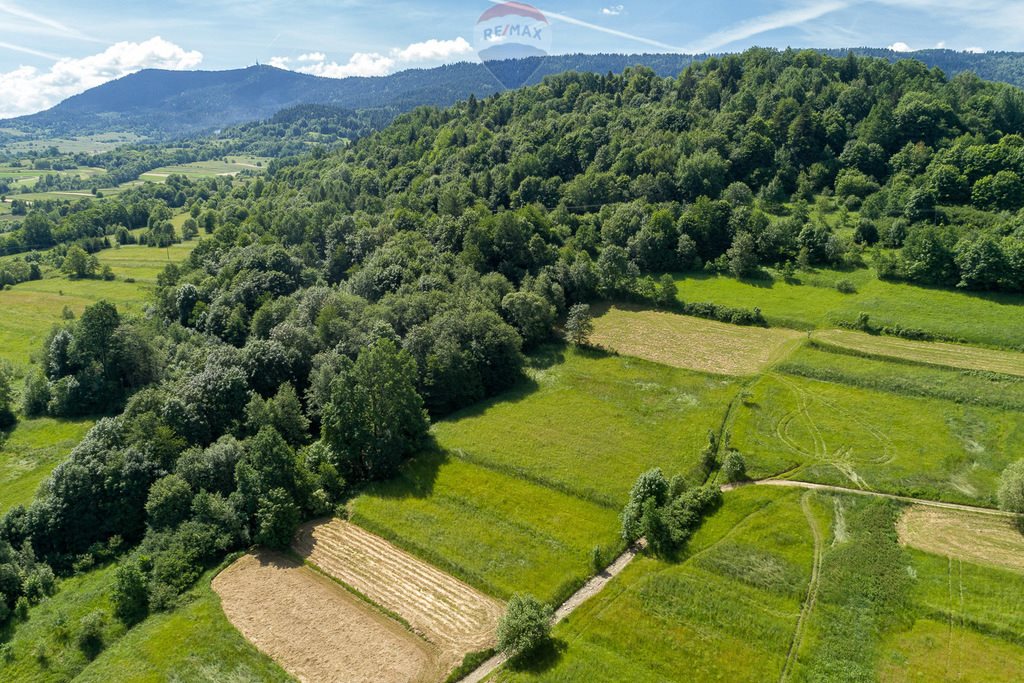 Działka rolna na sprzedaż Tenczyn  3 280m2 Foto 1