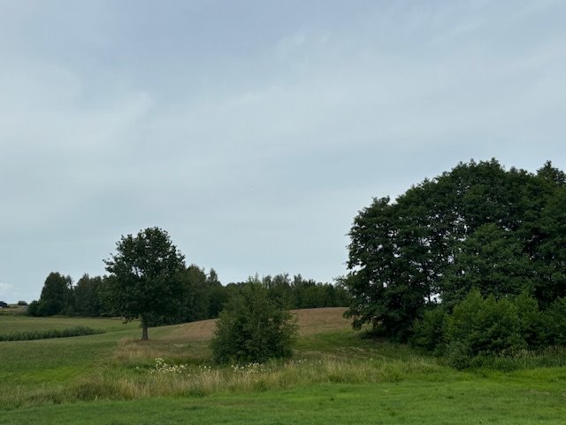 Działka inwestycyjna na sprzedaż Gryfów Śląski  5 400m2 Foto 12