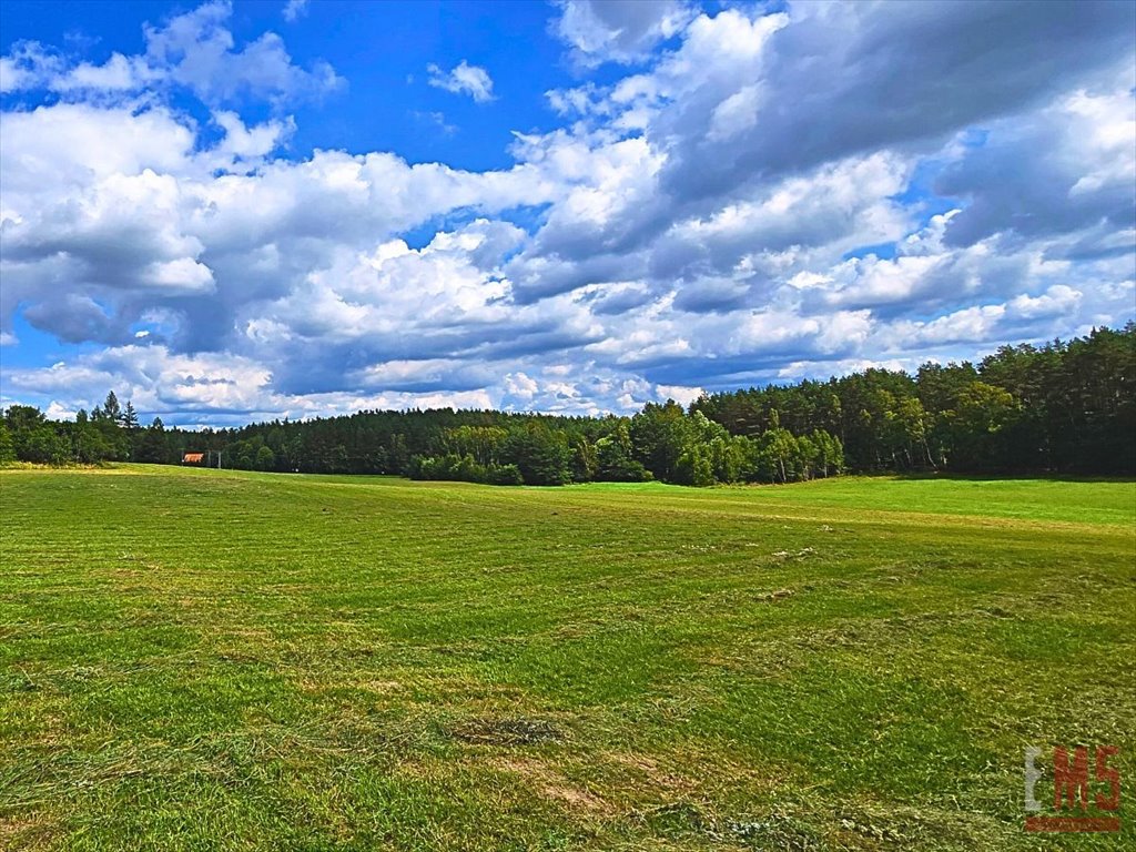 Działka inna na sprzedaż Olsztynek  2 625m2 Foto 4