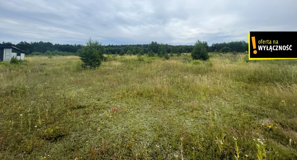 Działka budowlana na sprzedaż Marzysz, Marzysz Drugi  3 573m2 Foto 4