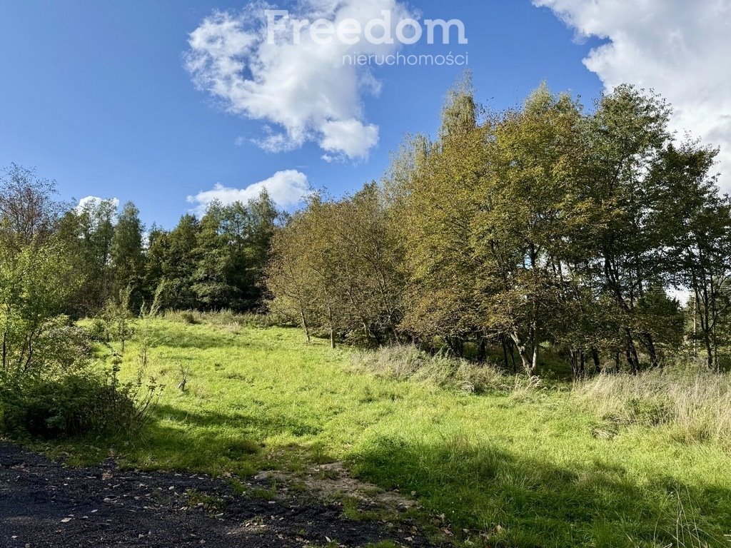 Działka budowlana na sprzedaż Rzeszów, Górna Słocina, św. Rocha  4 902m2 Foto 1