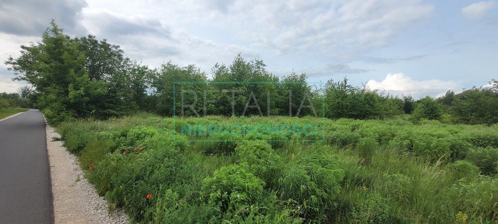 Działka rolna 49 800 m² w Kłudnie Nowym, media w drodze Kłudno Nowe  49 800m2 Foto 1