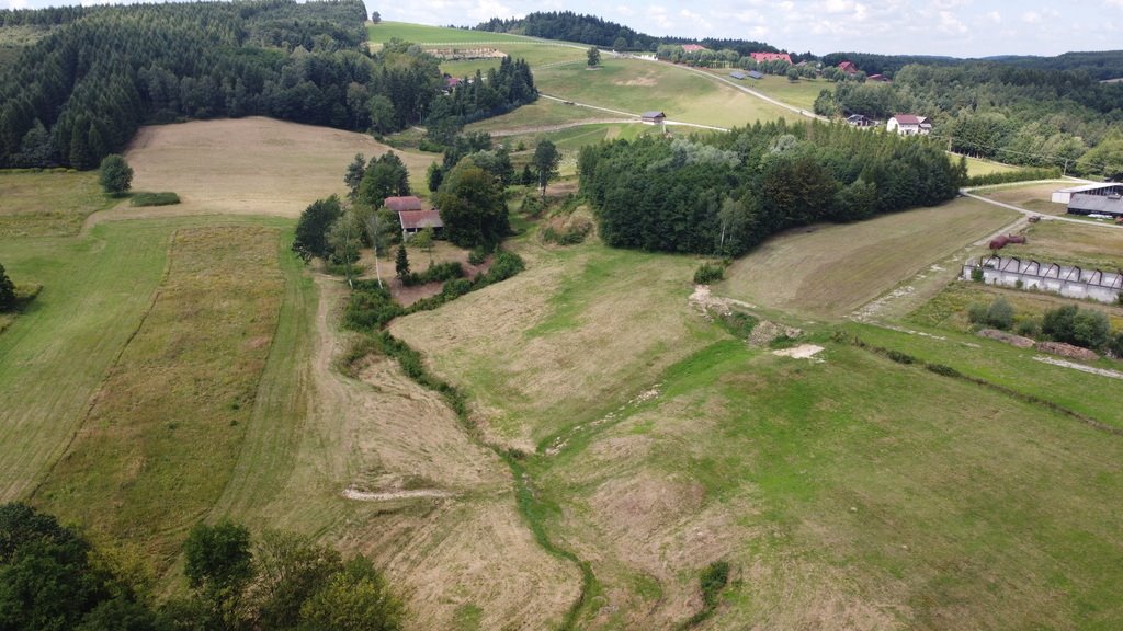 Działka budowlana na sprzedaż Lutcza  107 000m2 Foto 8