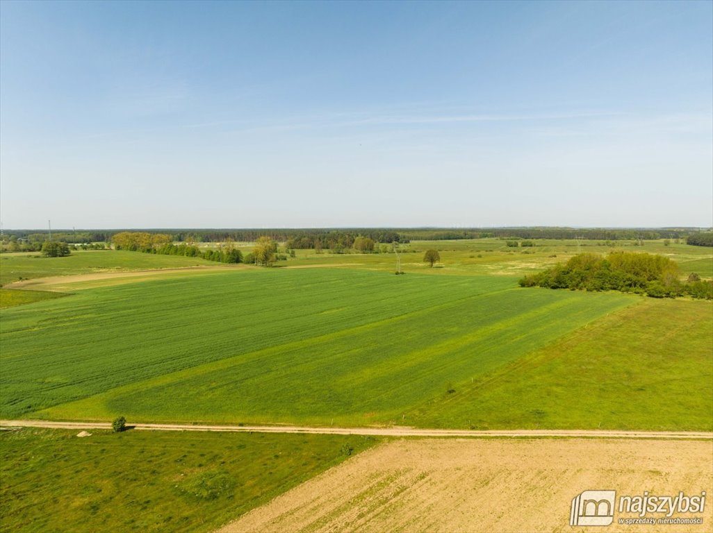 Działka rolna pod dzierżawę Przybiernów  15 202m2 Foto 10