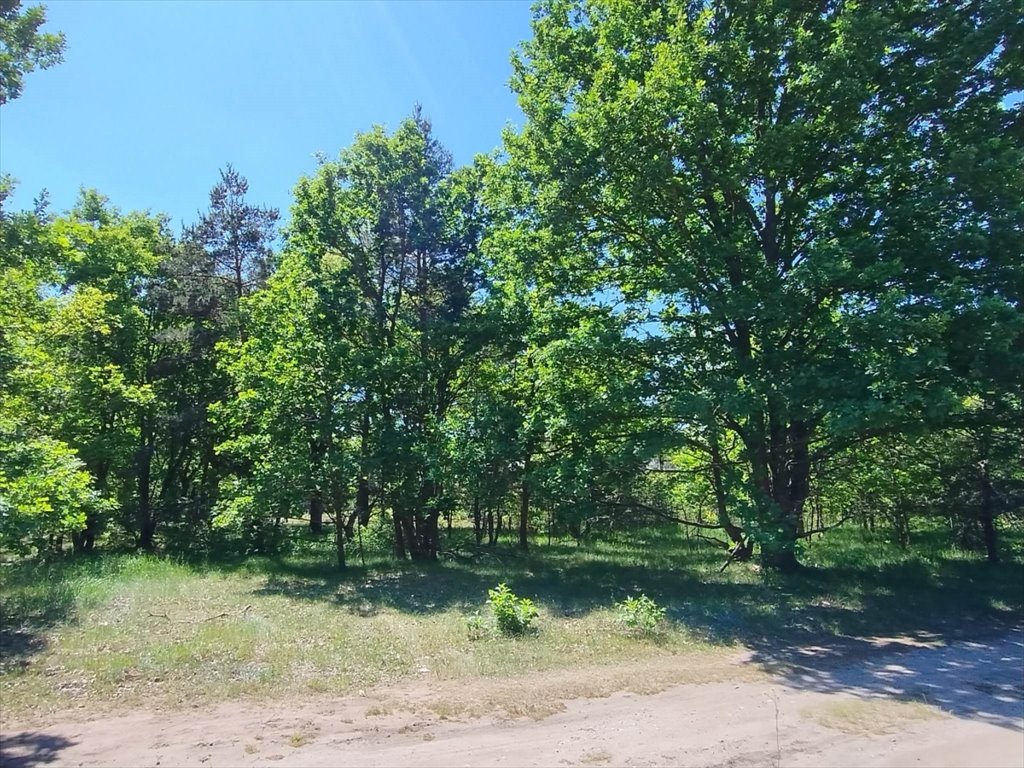 Działka budowlana na sprzedaż Józefów, Jaglana  1 500m2 Foto 5