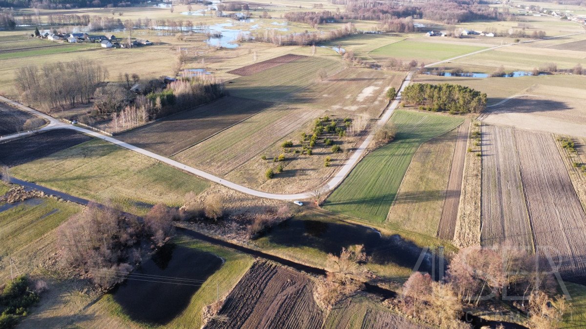 Działka budowlana na sprzedaż Grądy Szlacheckie  9 800m2 Foto 3