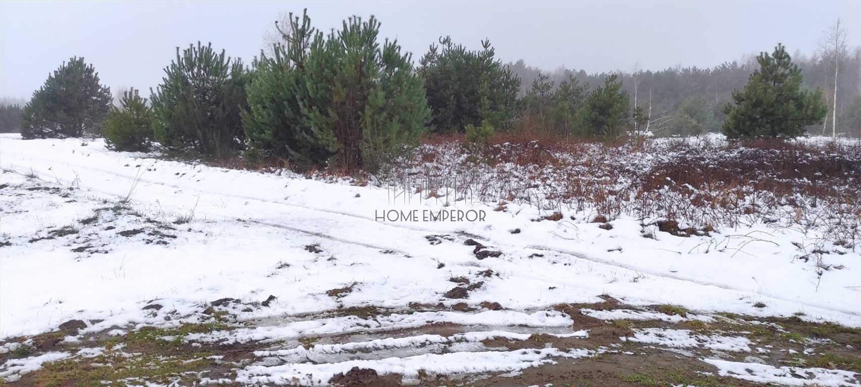 Działka budowlana na sprzedaż Piekarowo  19 000m2 Foto 6