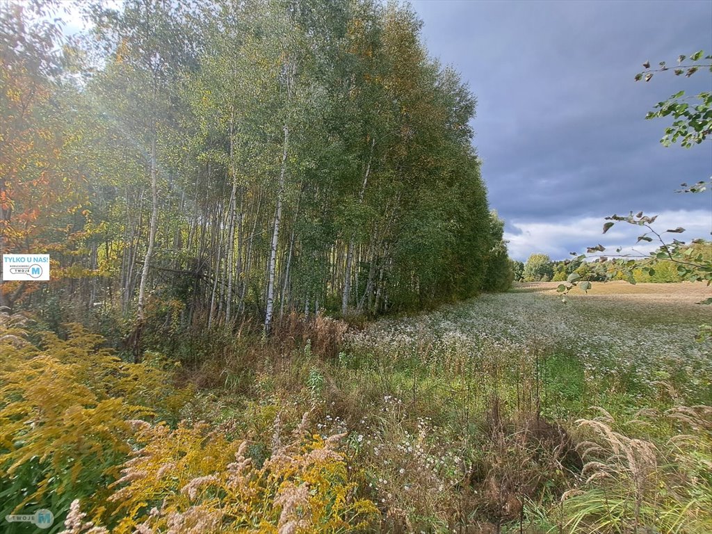 Działka rolna z możliwością zabudowy w Sędku, 8 879 m² Łagów, Sędek  8 879m2 Foto 1