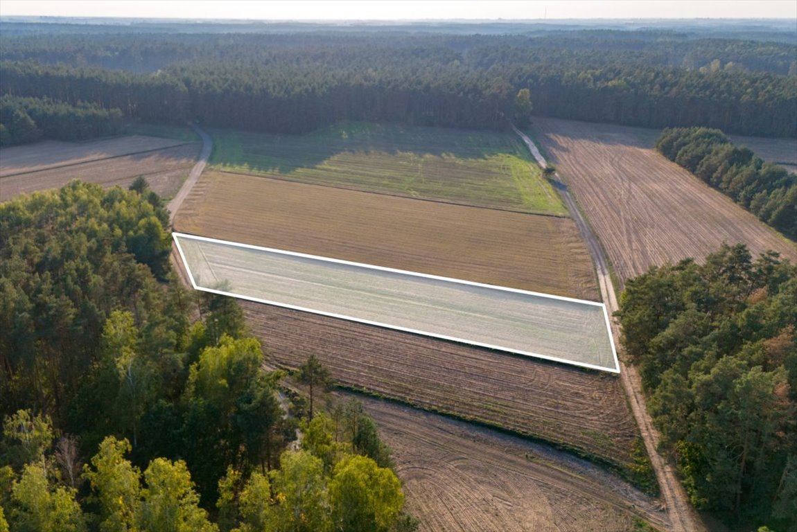 Działka rolna na sprzedaż Jesionka  2 800m2 Foto 6