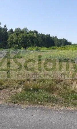 Działka 9ha z MPZP, media, podział na 27 działek Władysławów  91 400m2 Foto 1