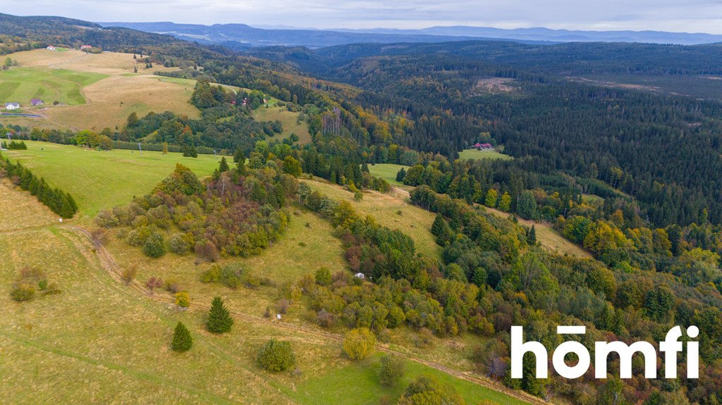 Działka budowlana na sprzedaż Duszniki-Zdrój, Zieleniec, Zieleniec  4 300m2 Foto 2