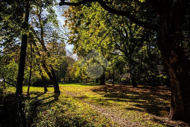 Kawalerka na sprzedaż Kraków, Stare Miasto, Stradom, św. Gertrudy  19m2 Foto 20