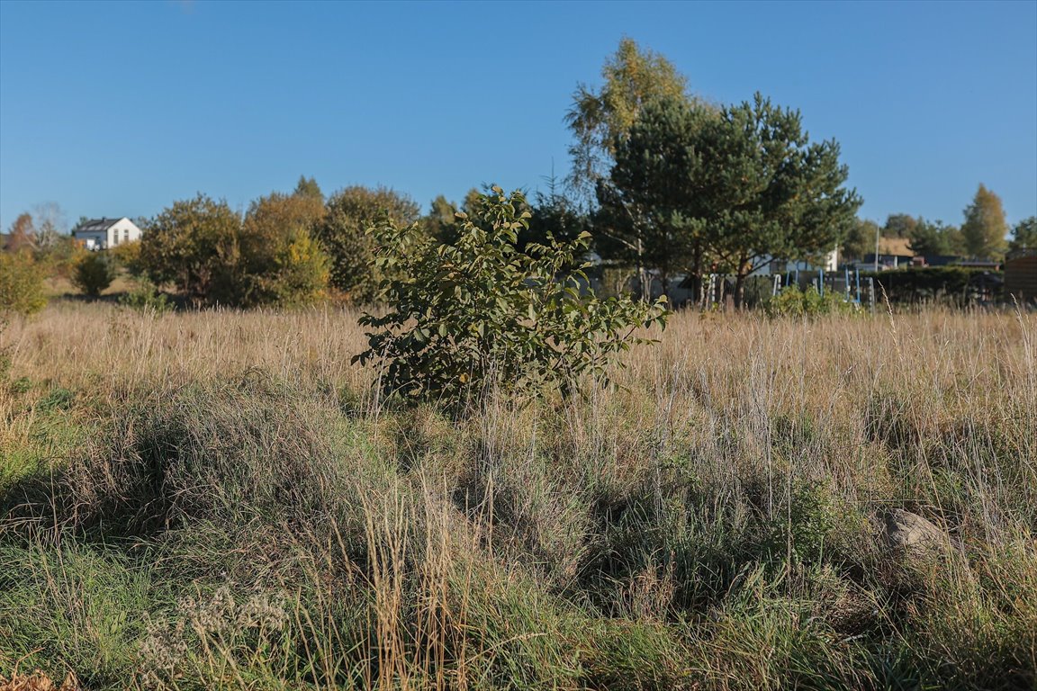 Działka budowlana na sprzedaż Gowino  973m2 Foto 5