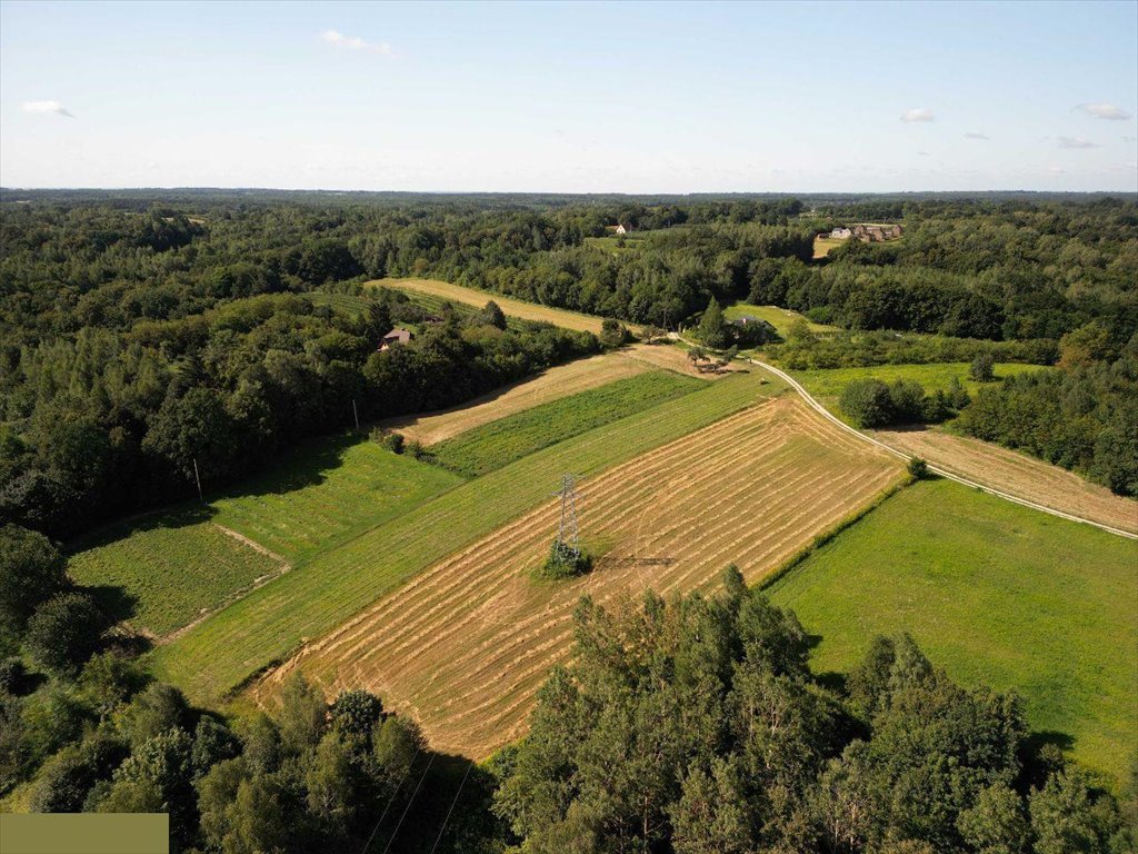 Działka budowlana na sprzedaż Wylągi  5 140m2 Foto 4