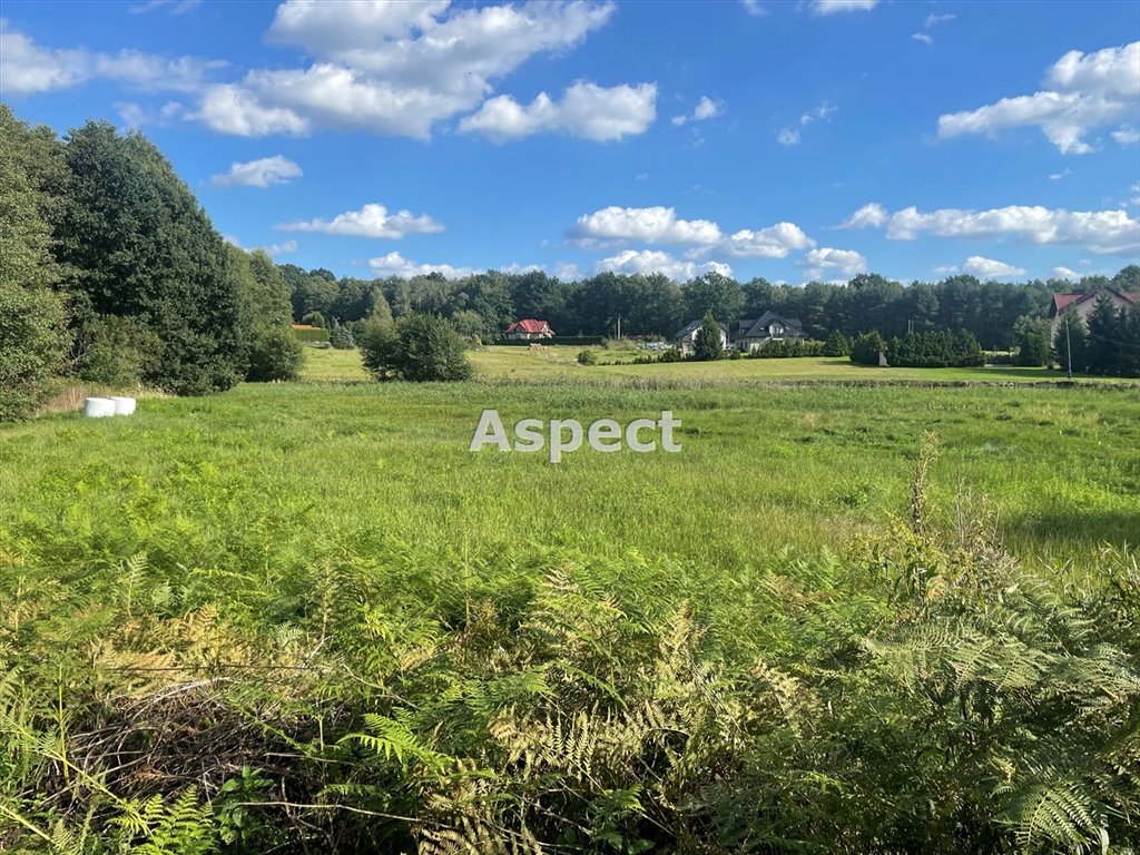 Działka rolna na sprzedaż Skrzyszów  5 045m2 Foto 1