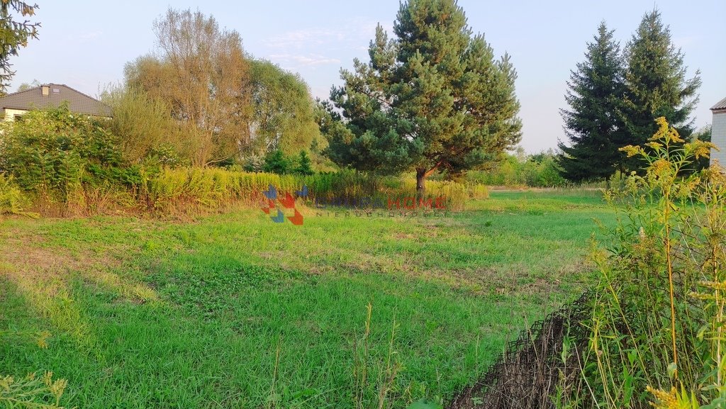 Działka budowlana na sprzedaż Borowina  1 200m2 Foto 6